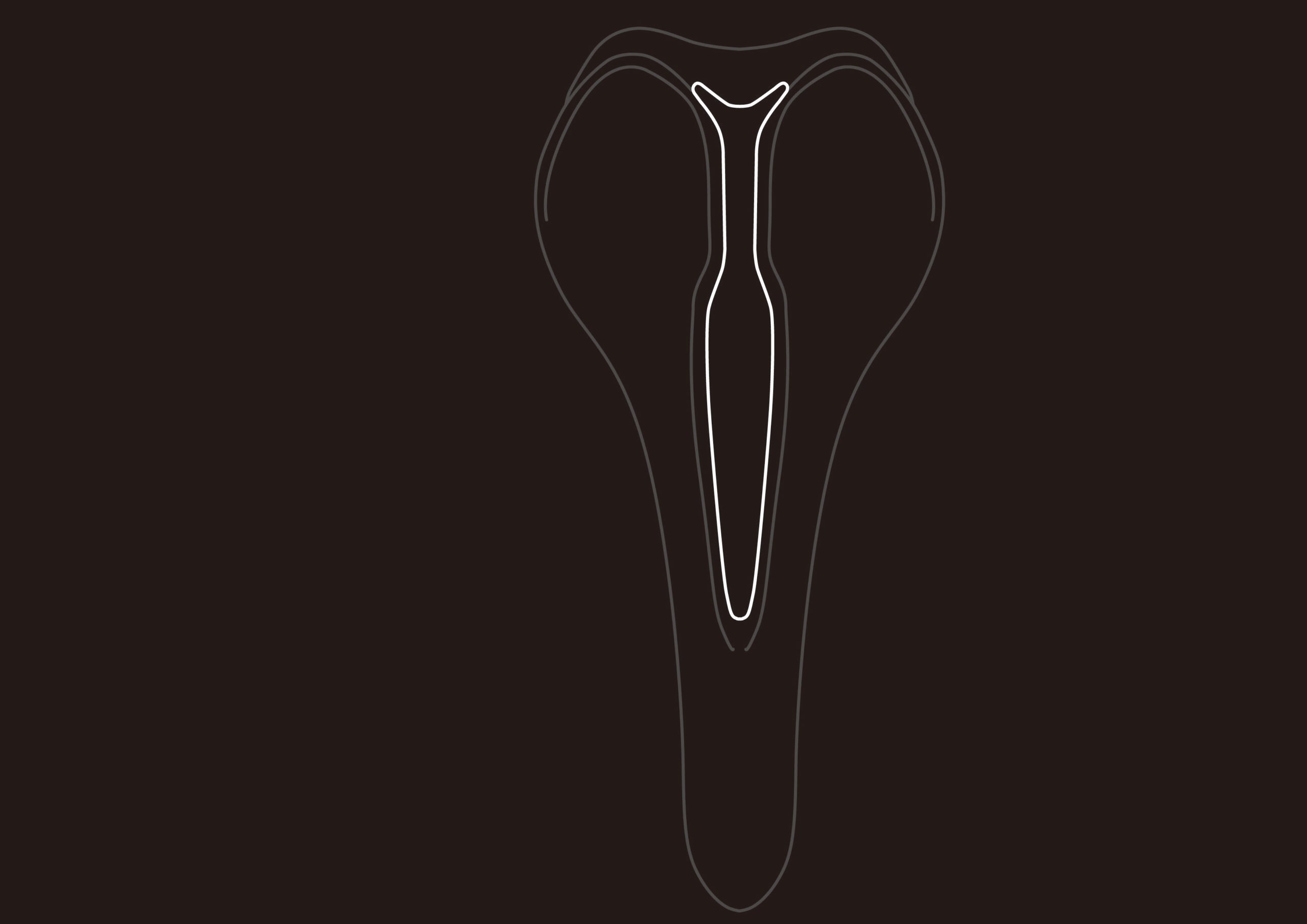 parallax main image