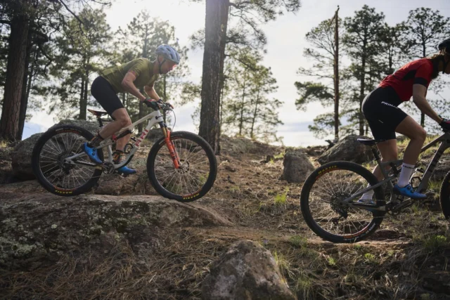 Angel Glide+ – Velo Saddles