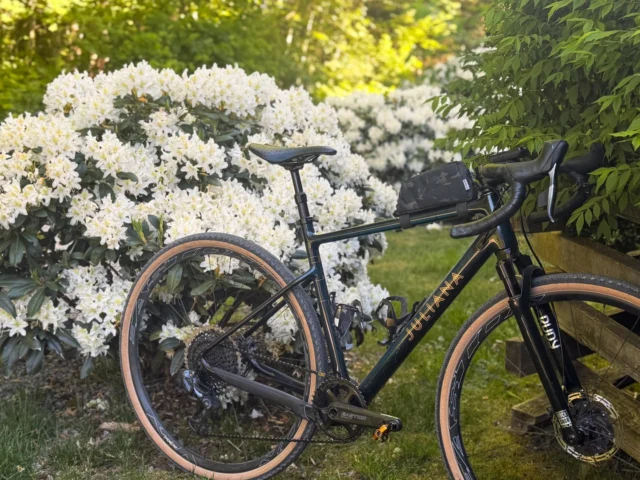 Angel Glide – Velo Saddles