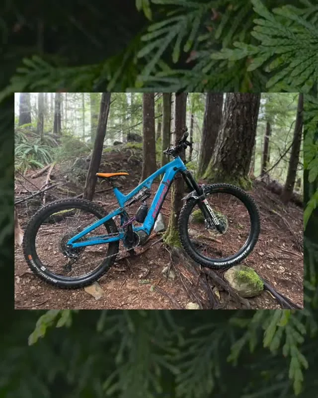 Angel Fly – Velo Saddles